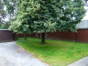 k-P1050424