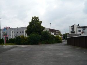 k-P1050444
